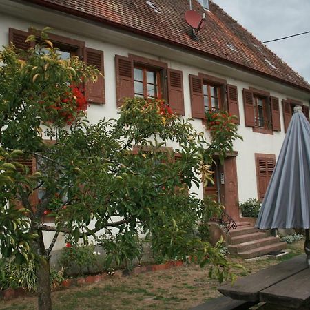 Maison D'Alsace Breitenbach-Haut-Rhin 외부 사진