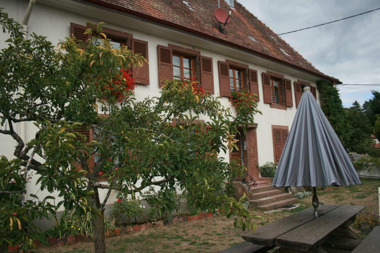 Maison D'Alsace Breitenbach-Haut-Rhin 외부 사진