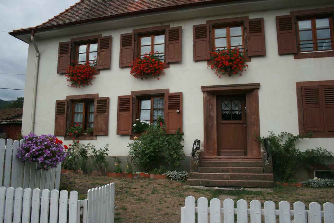 Maison D'Alsace Breitenbach-Haut-Rhin 외부 사진